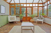 free Peters Marland conservatory quotes